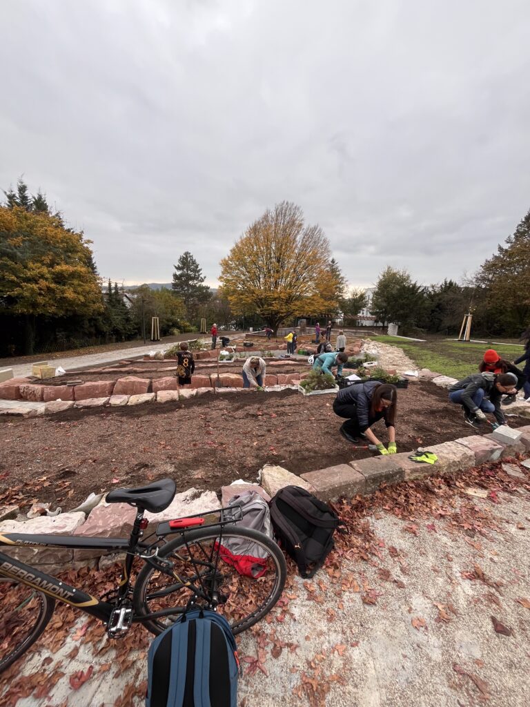 Pflanzaktion des Internationalen Kräutergartens in Wiesloch